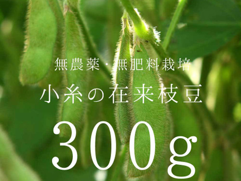 【無農薬・無肥料】小糸の在来枝豆 300g（枝なし）