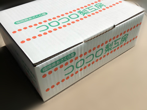 糖度ピークです‼️【大きさにも美味しさにもびっくり‼️】新高梨(2-4個入)贈答用約2.5kg✨️コロコロ梨工房の自信作‼️甘くてとってもフルーティー✨️鮮度を保つ為クール便で発送します🚚