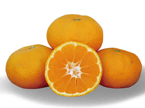 【昔も今も変わらない美味しさ】がんちゃん　温州ミカン完熟贅沢絞りジュース720㎖