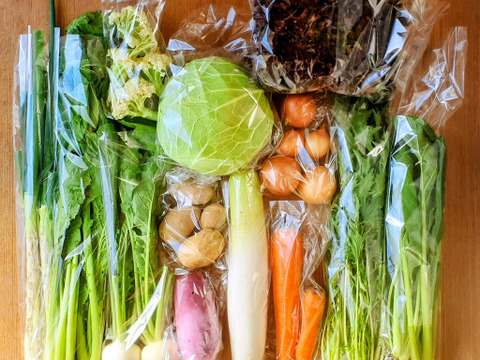 信州四賀より里山の旬野菜セット　7～8品目【S】