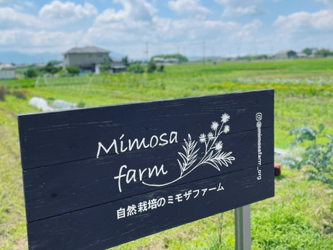 自然栽培のにんにく1kg