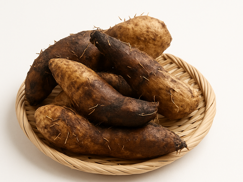 ねばり抜群！豊田市旭産土付き『大和芋』2kg（梱包込）