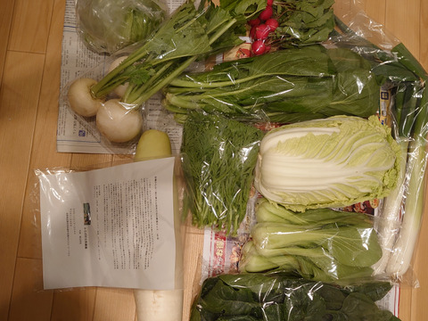 信州　秋野菜セット【10品目】