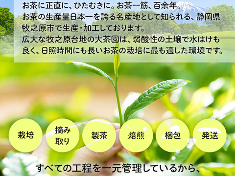 【学生コラボ・1袋】花茶・レモングラスほうじ茶 ティーバッグ 牧之原