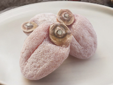 《12月お届け》ぽってり程よい弾力！南信州ブランド干し柿『市田柿』徳用品1kg みやまし農産物認証原料柿使用