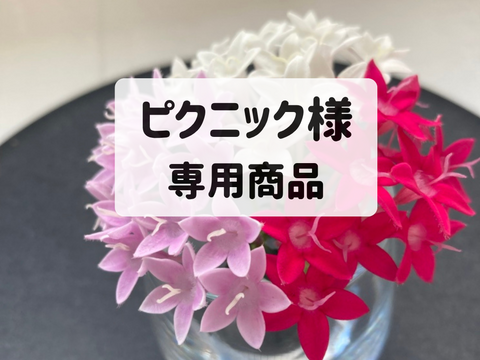 ピクニック様　専用商品