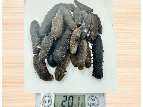 天然・野生 乾燥ナマコ 200g 約10本 戻す済み＊冷凍品＊