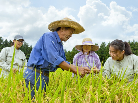新米予約 滝本米 プレミアム 玄米 5kg×2袋 農薬不使用 玄米 化学肥料不使用 特別栽培米