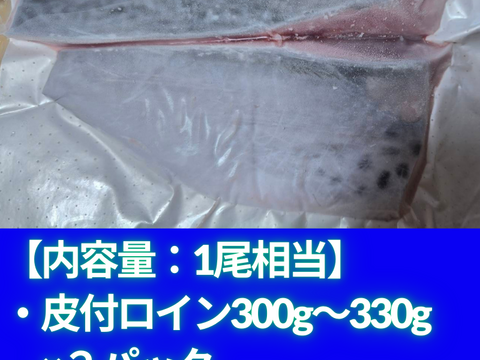 新星！養殖スマ(媛スマ)冷凍皮付ロイン(300g~330g) 2パック/箱