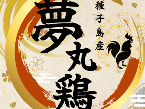 【福袋】🧧【投薬ゼロ】⭐️【夢丸鶏の丸鶏】⭐️種子島カステラ(3本)のクリスマス仕様の限定セット