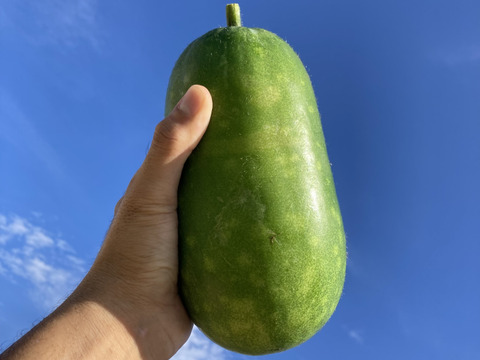 【季節限定!!】沖縄産!ミニ冬瓜とバナナのセット！(1.8kg)
