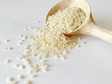 【低農薬米・胚芽米5kg】清らかな地下水で育てたお米！もちもち食感！スプリングライス ミルキークイーン