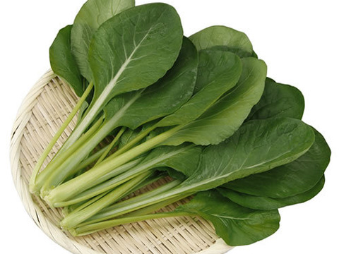 野菜ソムリエ推奨！鍋におすすめの野菜詰め合わせセット【鮮度抜群！鍋を香りと食味で楽しむ8品目】