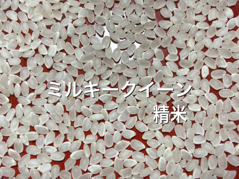 水輪のまちのお米【令和7年新米】ミルキークイーン玄米30kgキロ