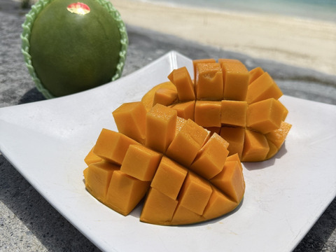 【ご家庭用】沖縄県産キーツマンゴー1.5kg（2-3玉）