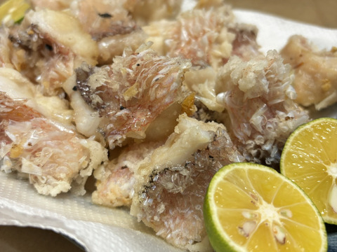 松笠揚げは最高‼️高級魚！徳島宍喰産アマダイ！約1kg(2〜4匹)【冷凍】