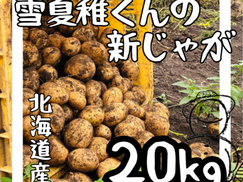 《ホクホクMAX！！！》愛され食され40年『雪夏稚くん』のコナヒメver. 20kg