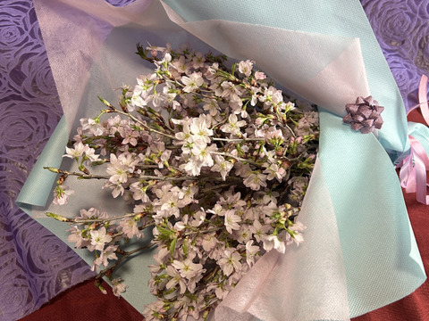 【桜の花束】あと少し！ボリュームたっぷりな桜をご自宅に飾ってみませんか？