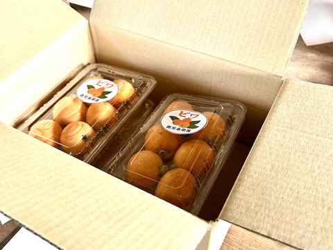 ビワ（ご家庭用）約1kg