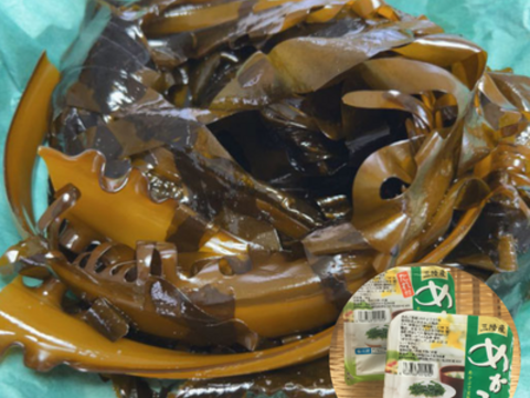 期間限定　今が旬　シャキシャキ生わかめ＆湯通しめかぶ