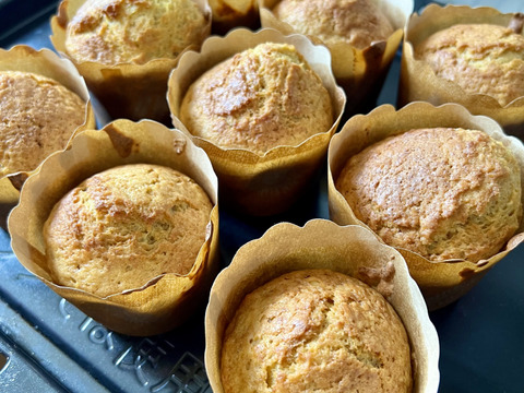 濃甘！ズッキーニ2色 4kg 農薬・化学肥料不使用