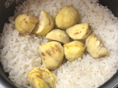 甘‼️【氷温熟成中】本場能勢栗“岸根（がんね）”2L🌰1kg 《11/19発送開始！》