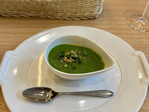 楽天市場】野菜を育てる栽培セット！ねぎ栽培セット ネギらいの