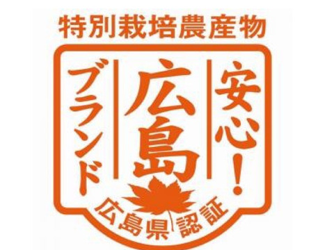 値下げ！甘夏6kg、広島県産因島産産地直送家庭用農薬不使用防腐剤無 無農薬 土佐小夏 有機肥料 家庭用 5kg 高知県産 2L-L 混合 高