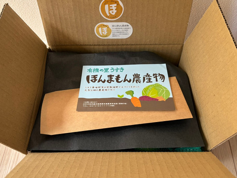 《農薬不使用》かぼす発祥の地/臼杵市産/香り高いかぼす《大分一号》10kg