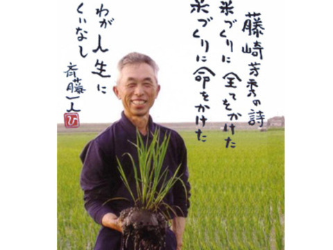 こしひかり お米 令和6年産 自然栽培(コシヒカリ玄米)【農家 こしひかり お米 令和6年産 自然栽培(コシヒカリ玄米)【農家