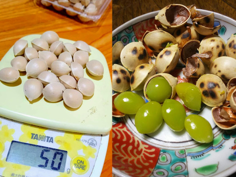 雪国里山の暖冬7点セット