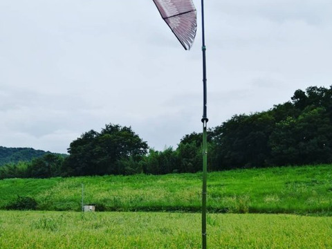 売り切れ。また来年お願いします(*^^*)【新米♡お試し２合♡食べきりサイズ】京都産ミルキークイーン2024 黄金の実り（買い合わせOK）白米❣（玄米リクエスト可）