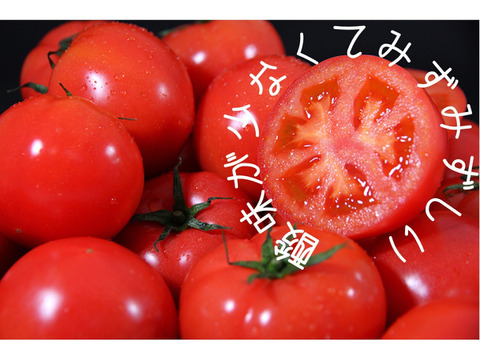 予約1月下旬から順次発送【特別栽培農産物の取得】＼極み／ソムリエトマト１.３kg （６玉から１０玉）ソムリエミニトマト　ダイヤ１kgのセット