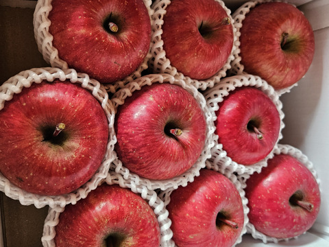 青森県産サンふじりんご約3㎏（キャップ8～10個）