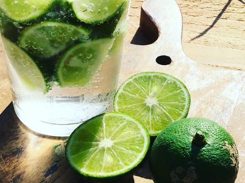 【農薬不使用】香酸系柑橘おまかせセット800g