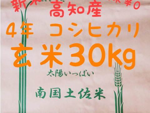 令和4年産 高知県産 新米コシヒカリ 玄米30㎏(袋込み)