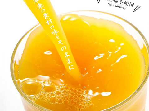【訳あり】１００％ストレートジュース「媛一ジュース」160ml×８本