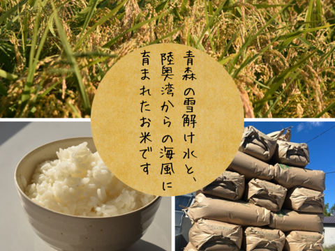 令和6年産古米】青森県産まっしぐら【玄米】：青森県産のお米｜食べ