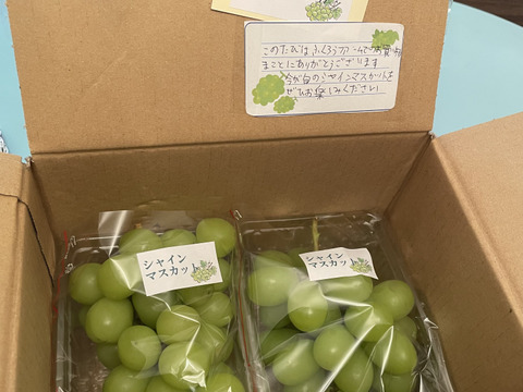 毎年大人気のご家庭用・山梨県産シャインマスカット1㎏：山梨県