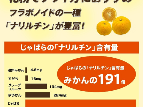 紀伊路屋 柑橘じゃばら果汁720ml 3本セット