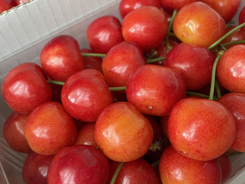 価値ある大粒【佐藤錦】🍒1キロ🍒【２Ｌサイズ以上】【さくらんぼ】【ギフト】【大切な方への贈り物にも】