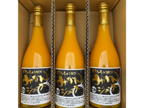 【贈り物にもピッタリ】木下さんちの100%みかんジュース3本セット720ml