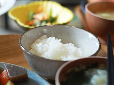 2025年 新潟県保内産コシヒカリ1等 3kg