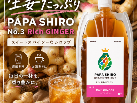 パパイア王子 宮崎パパイア酵素シロップ ジンジャー シロップ 250ml 希釈ドリンク 酵素 青パパイヤ スーパーフード パパイン酵素 日本産 ポリフェノール パパイヤ