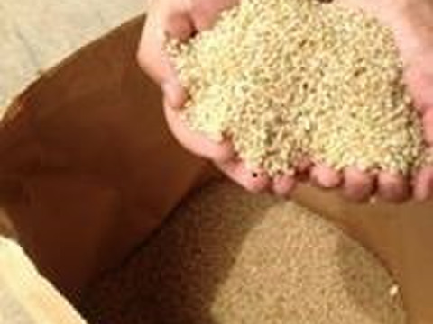 【食べ比べ】福岡県のお米お試し白米1㎏×2品種「ミルキークイーン」「夢つくし」特別栽培米 令和4年福岡県産