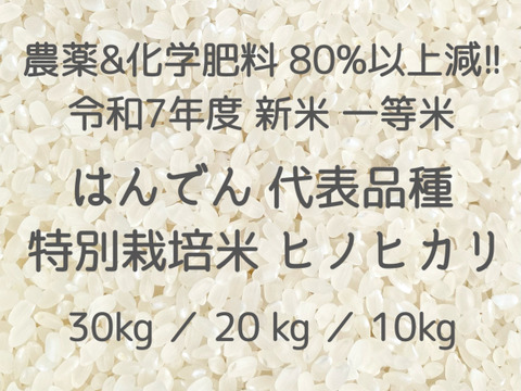 収穫から3日~7日以内の【 生きたお米 】
農薬&化学肥料80%以上大幅減 !!
令和7年度 新米 広島県産 白米30kg
はんでん 代表品種 特別栽培米 ヒノヒカリ