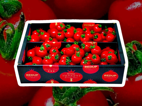 【特別栽培農産物の取得】ソムリエミニトマト　プラチナ８ｋｇ