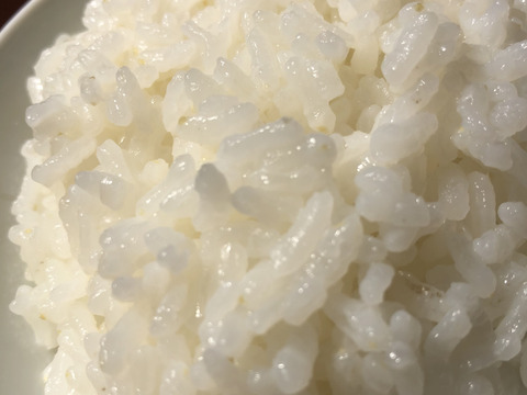 【令和4年産特別栽培米・白米5kg】
超大粒“米王”‼️甘くてモチモチ、香りの良い能勢天神米。