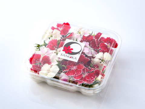 美食の演出！エディブルフラワー『SANOKA』ナデシコ MIX 20輪入り 食用花 ケーキ スイーツ デコレーションにも！