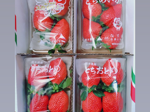 とちぎの完熟いちご３種の食べ比べセット
(とちあいか・スカイベリー・とちおとめ)
【いちご食べ比べ】